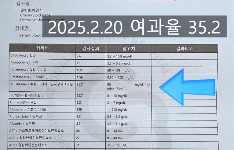 사례02 검사결과 25년 3월